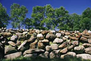 StoneFence